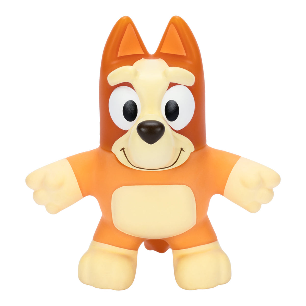 Bluey Stretchy Bingo