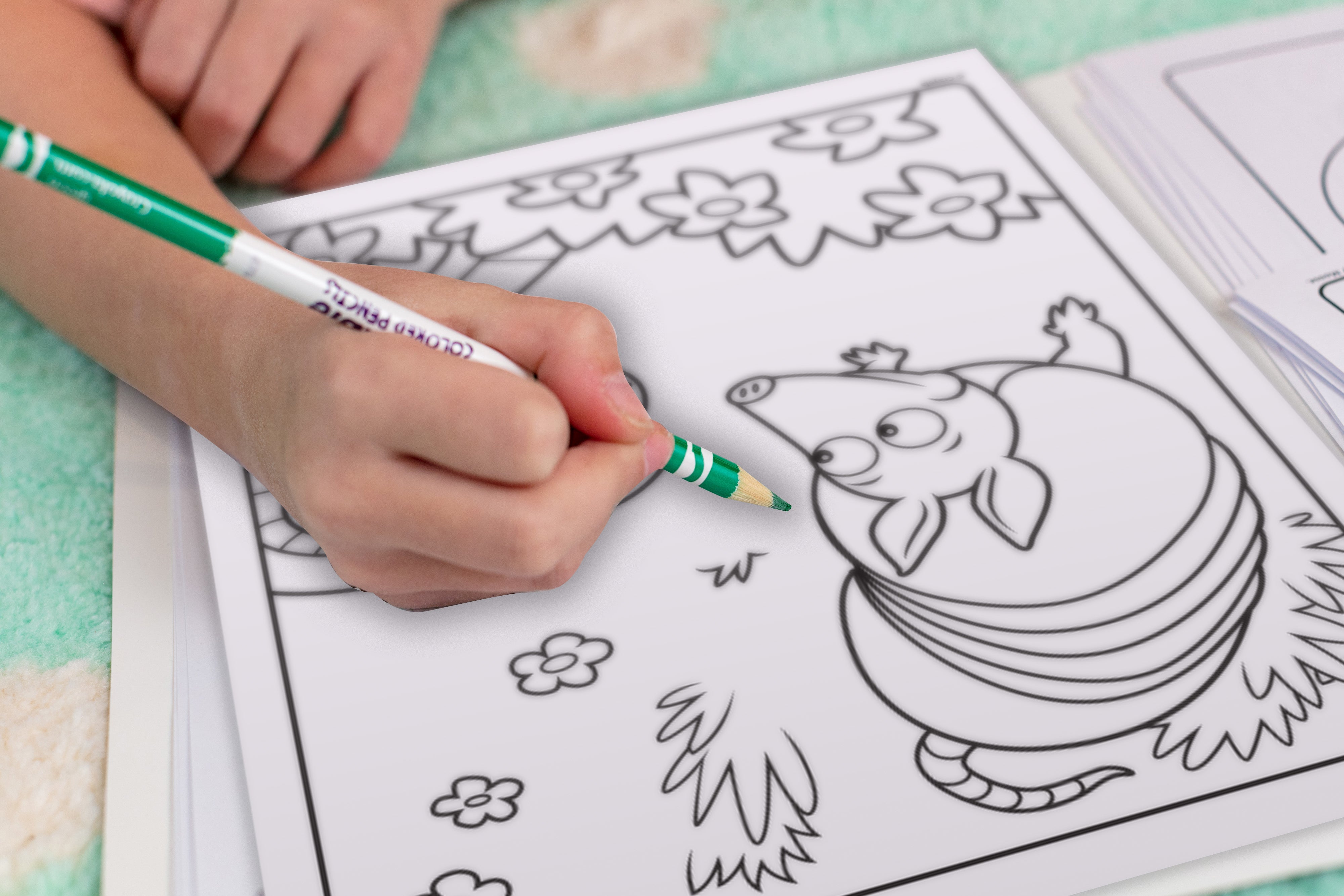 Crayola Animals Colour & Sticker Book