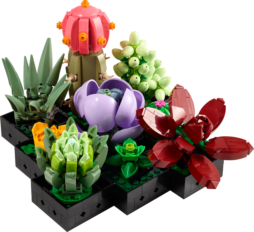 LEGO 10309 Botanicals Succulents