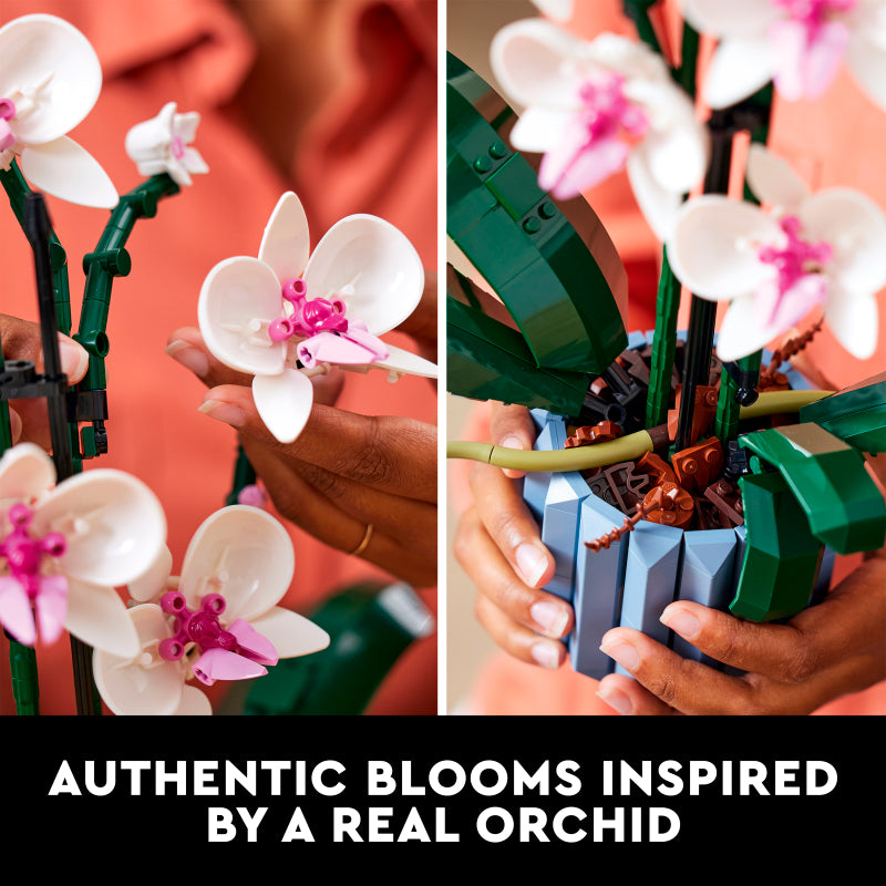 LEGO 10311 Botanicals Orchid - Toyworld Australia