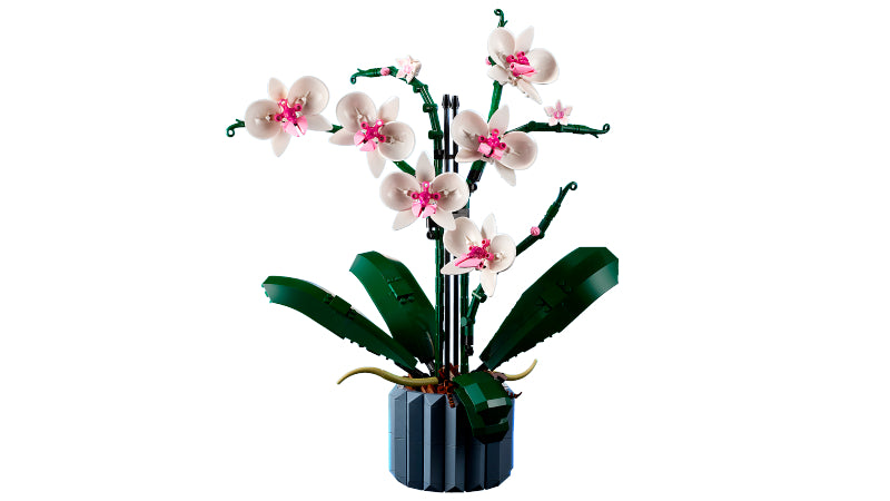 LEGO 10311 Botanicals Orchid - Toyworld Australia