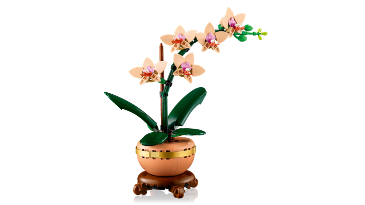 LEGO 10343 Botanicals Mini Orchid