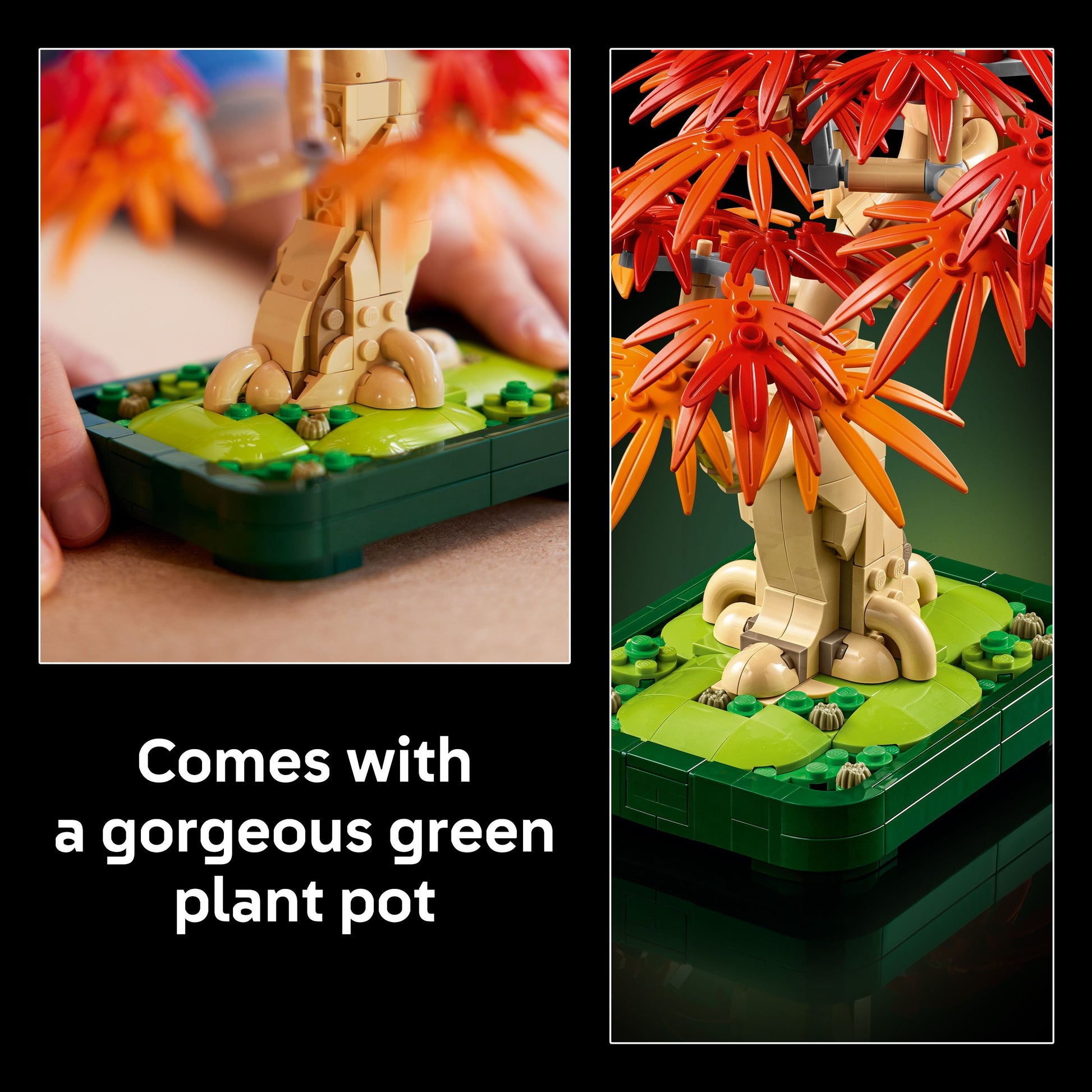 lego bonsai tree australia LEGO 10348 Botanicals Japanese Red Maple Bonsai Tree – Toyworld Australia