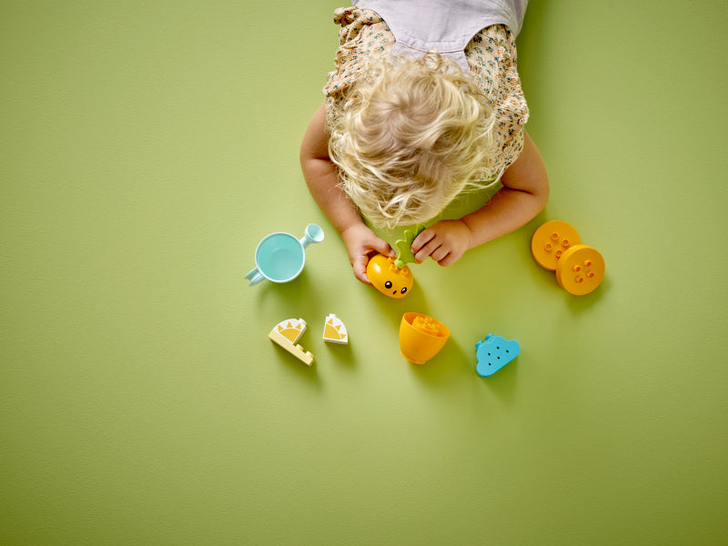 LEGO 10981 DUPLO Growing Carrot