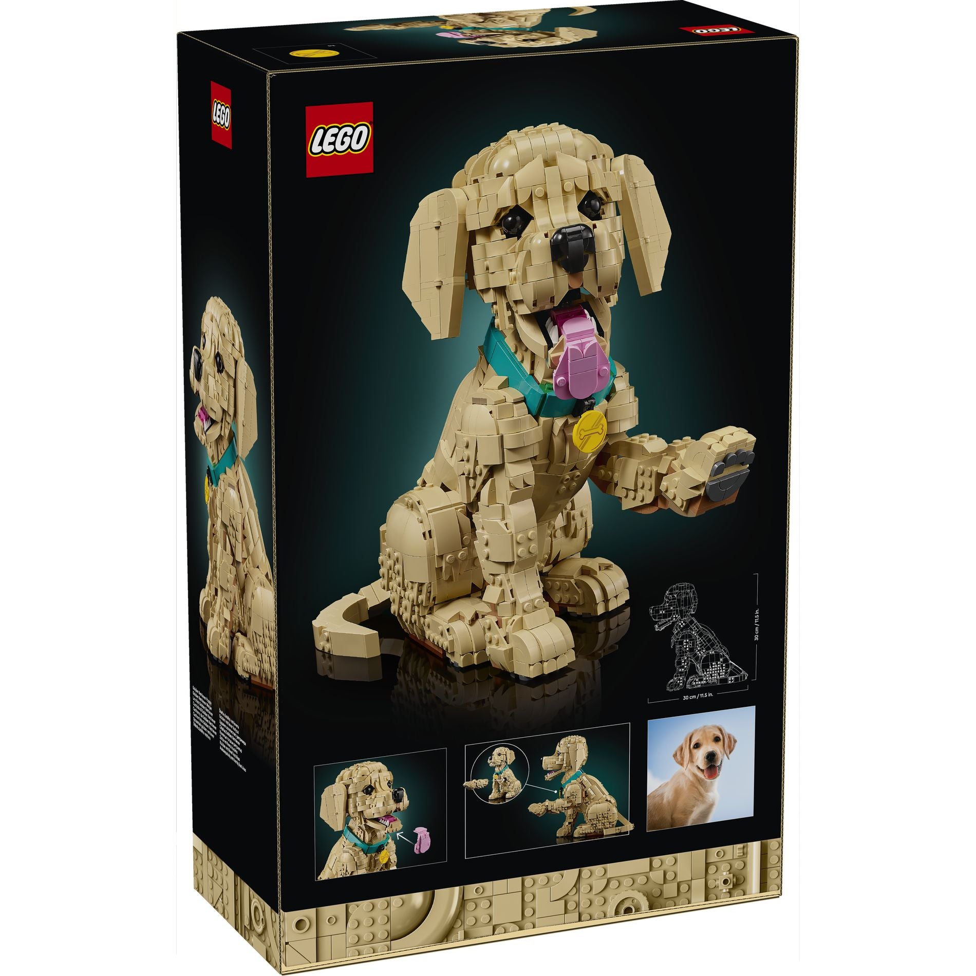 LEGO 11384 Icons Golden Retriever Puppy - Toyworld Australia