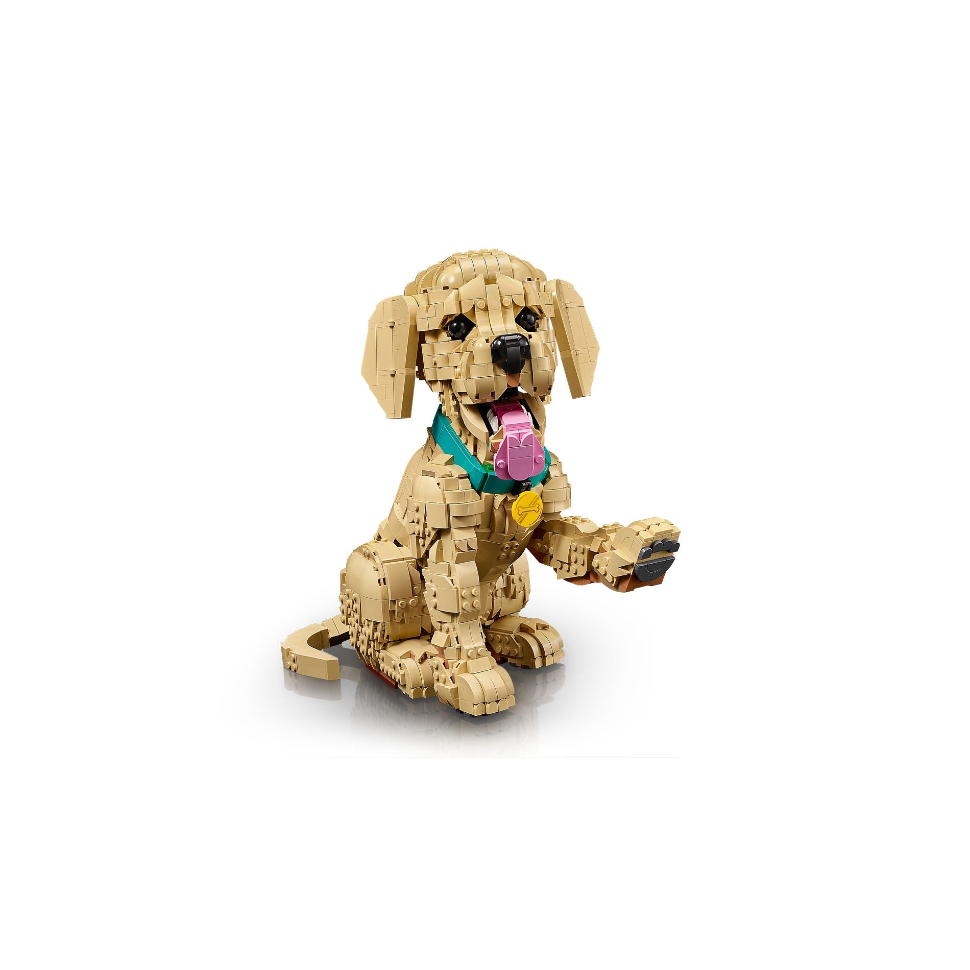 LEGO 11384 Icons Golden Retriever Puppy - Toyworld Australia