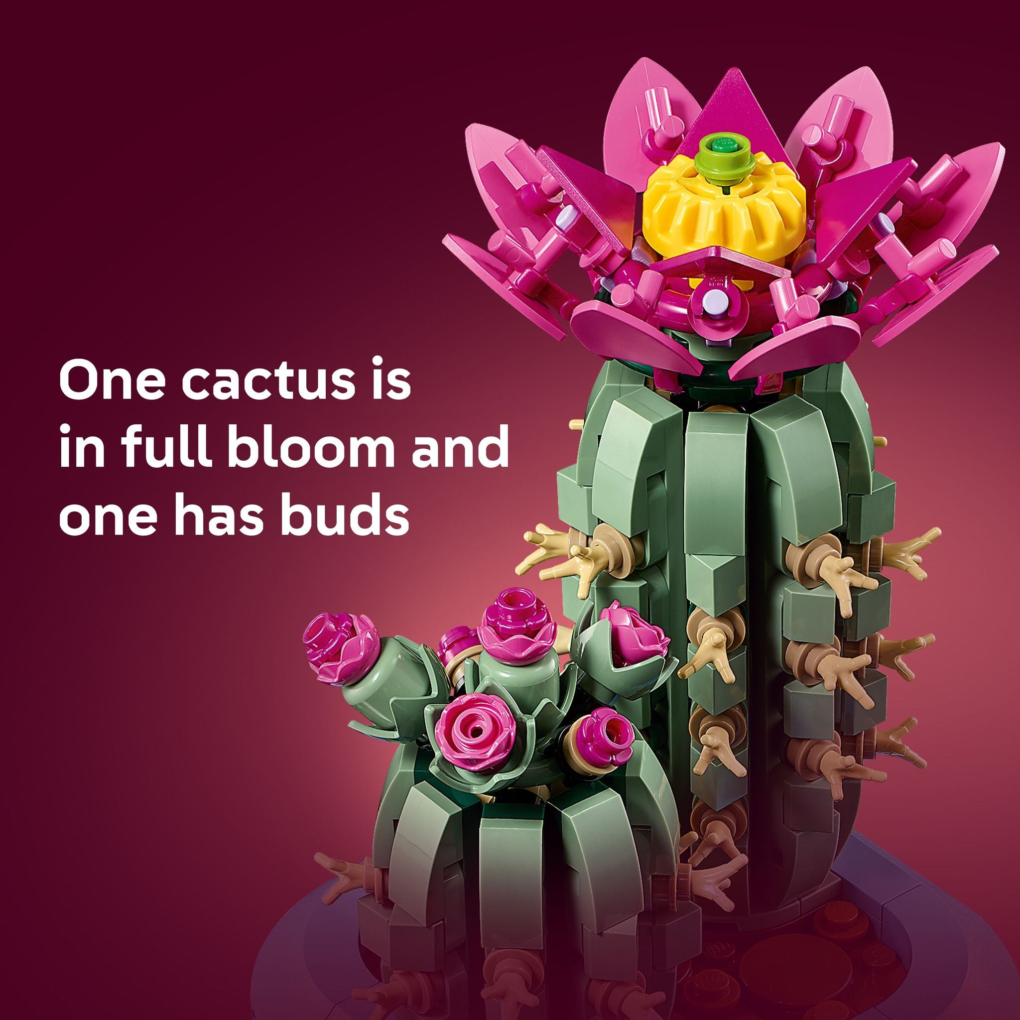 LEGO 11509 Botanicals Flowering Cactus