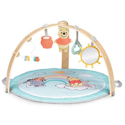 Bright Starts Winnie The Pooh Hunny Hangout Activity Gym