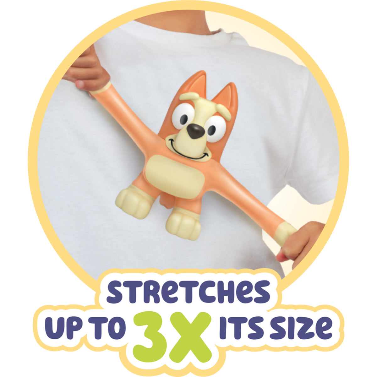 Bluey Stretchy Bingo