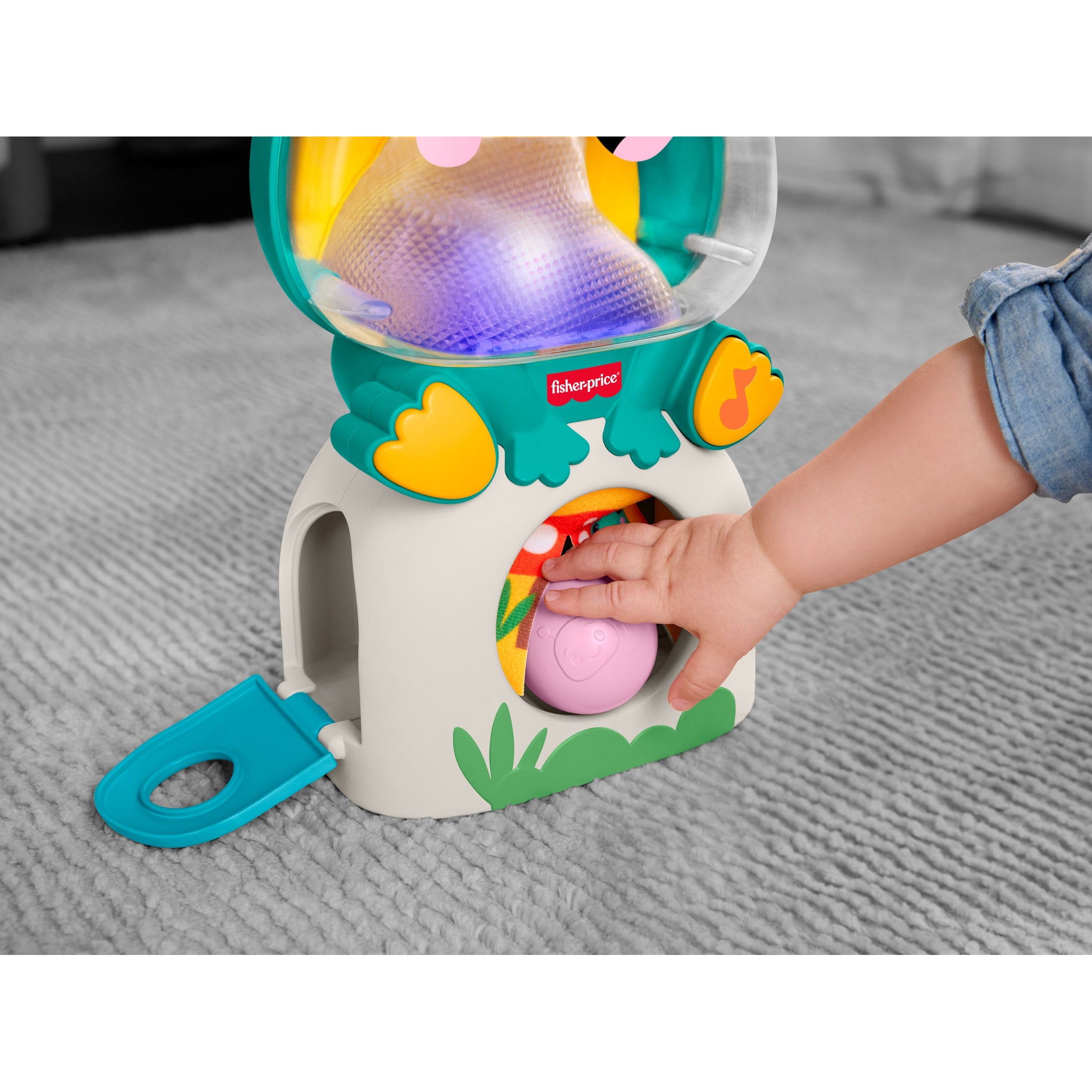 Fisher-Price Seek & Find Frog