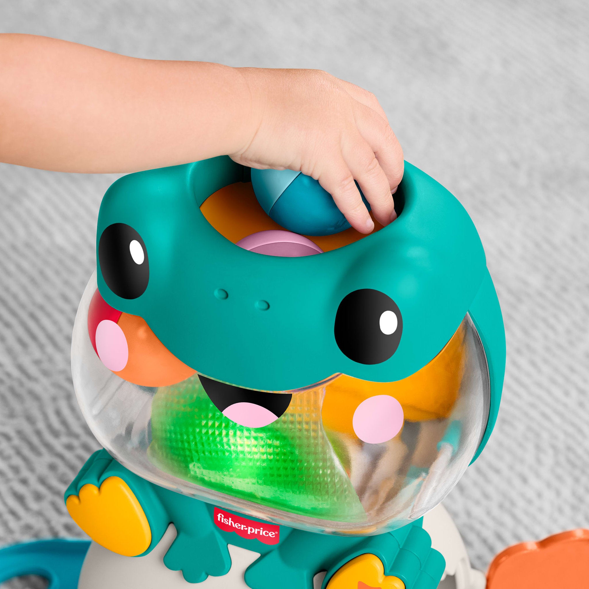 Fisher-Price Seek & Find Frog