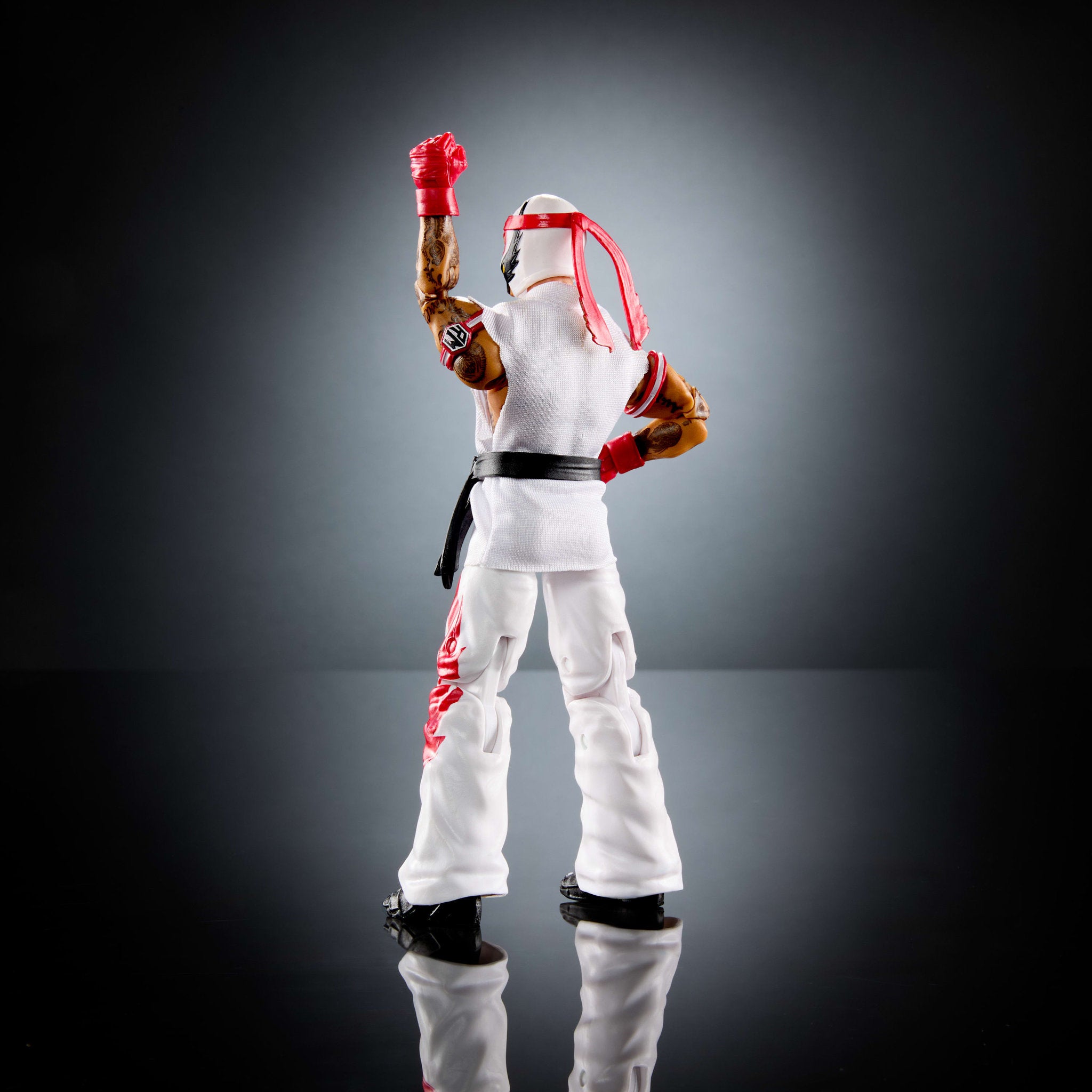 WWE X Street Fighter - Rey Mysterio As Ryu