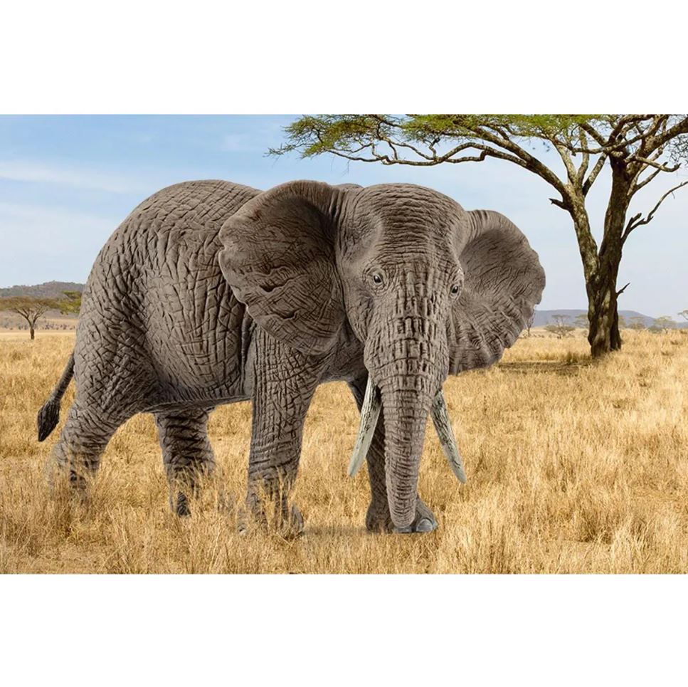 Schleich African Elephant Female