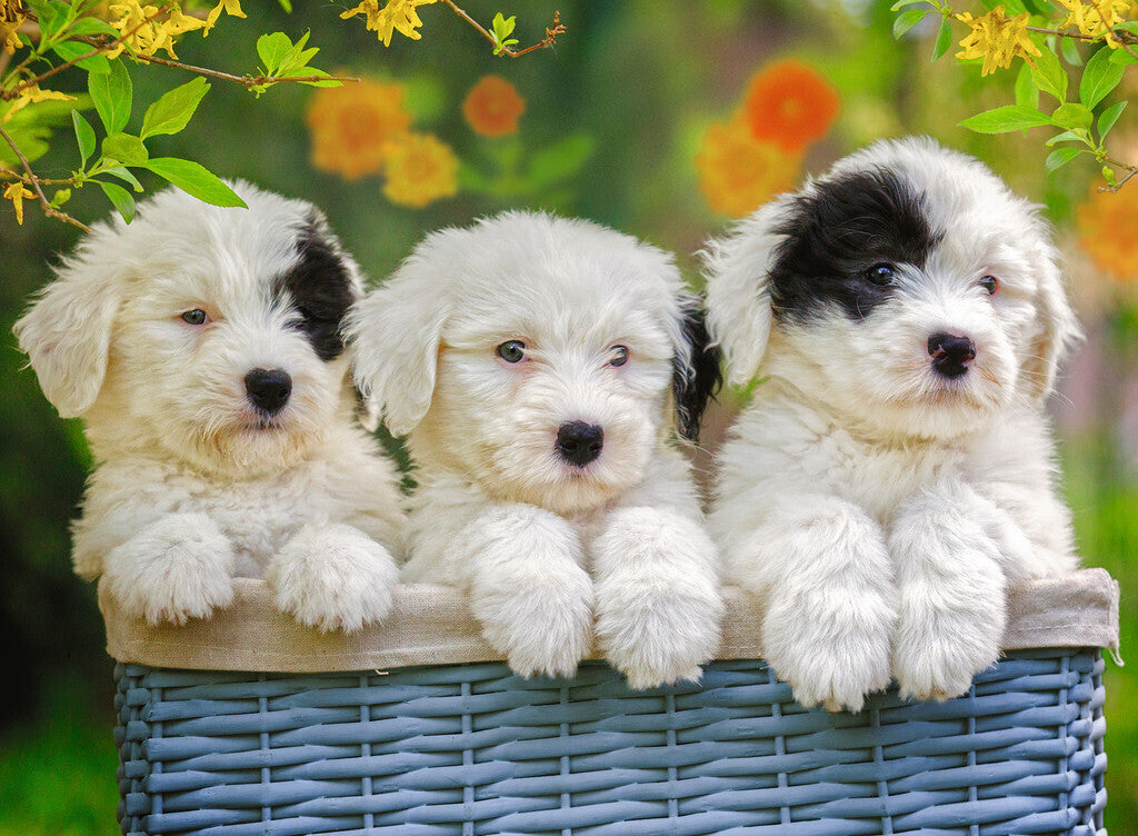 Ravensburger Cuddly Puppies 200 Piece - Toyworld Australia