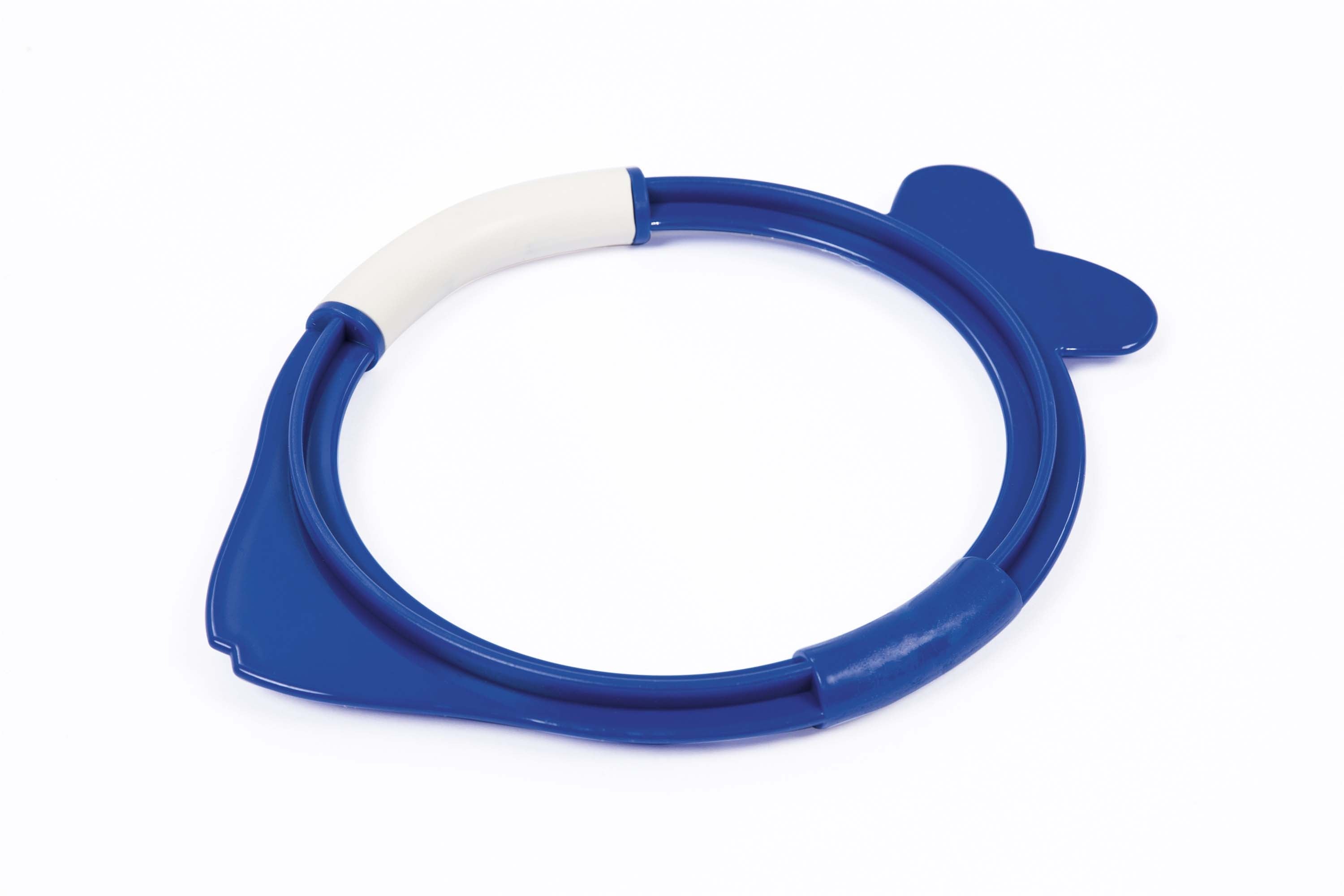 Bestway Lil Fish Dive Rings Assorted Styles