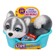 Little Live Pets My Really Real Puppy Mini - Aurora