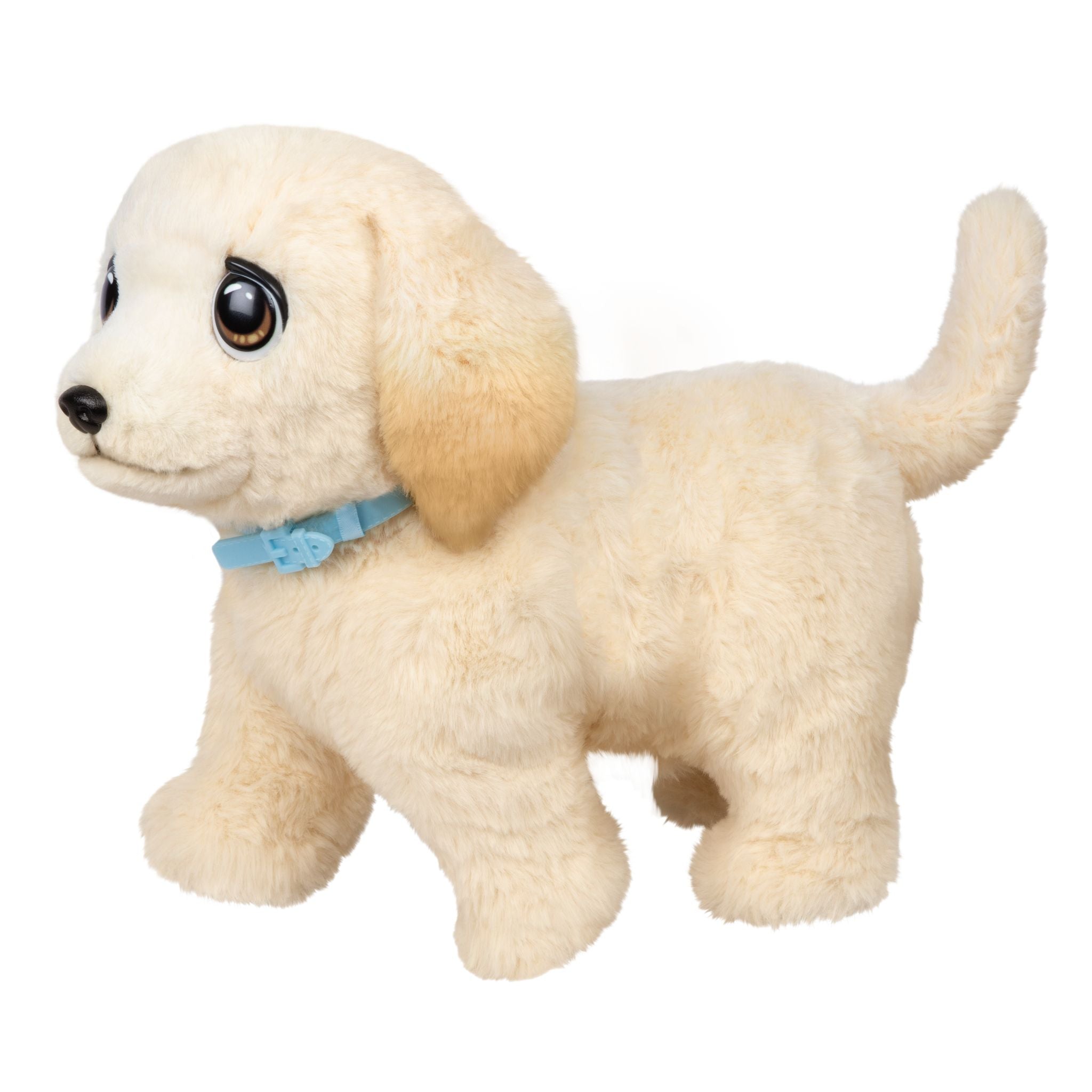 Little Live Pets Ouchies! Cooper