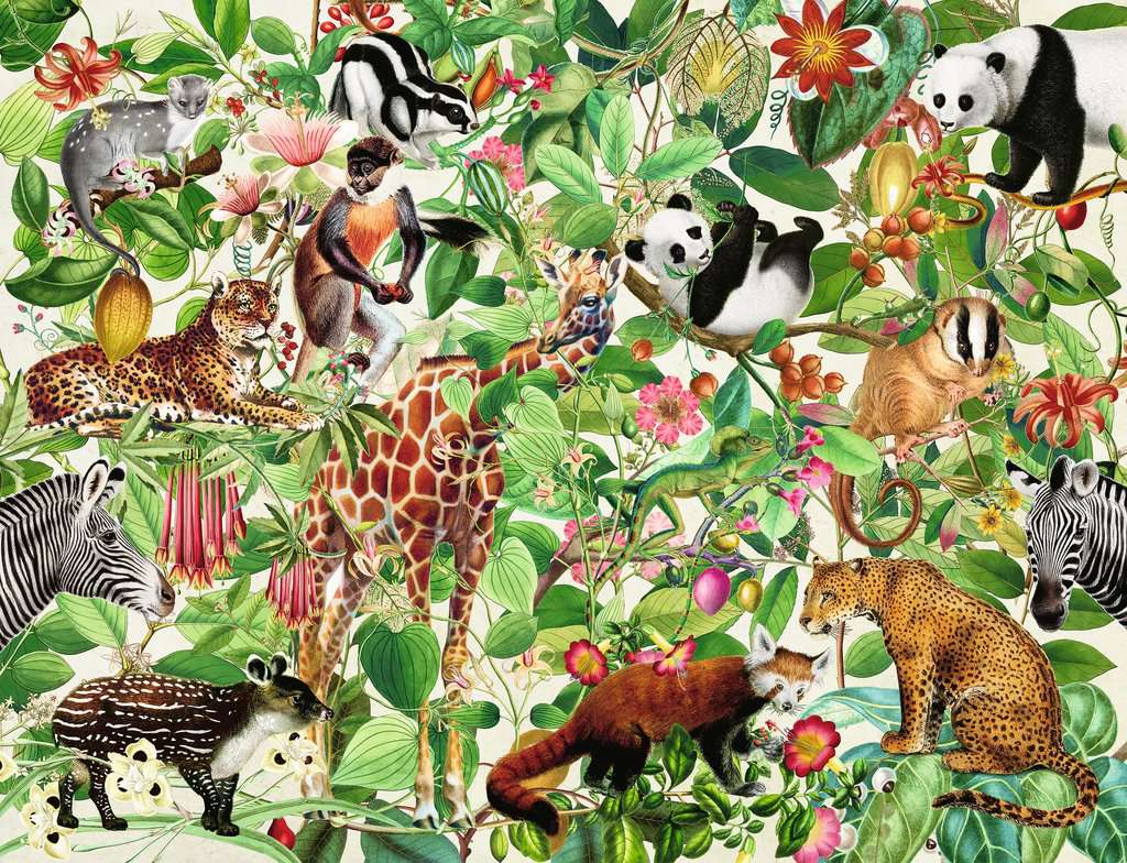 Ravensburger Jungle 2000 Piece - Toyworld Australia