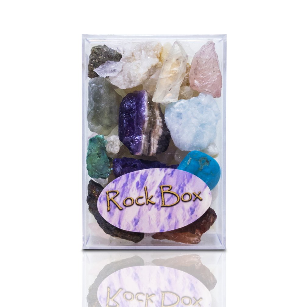 British Fossils Rock Box Assorted Style