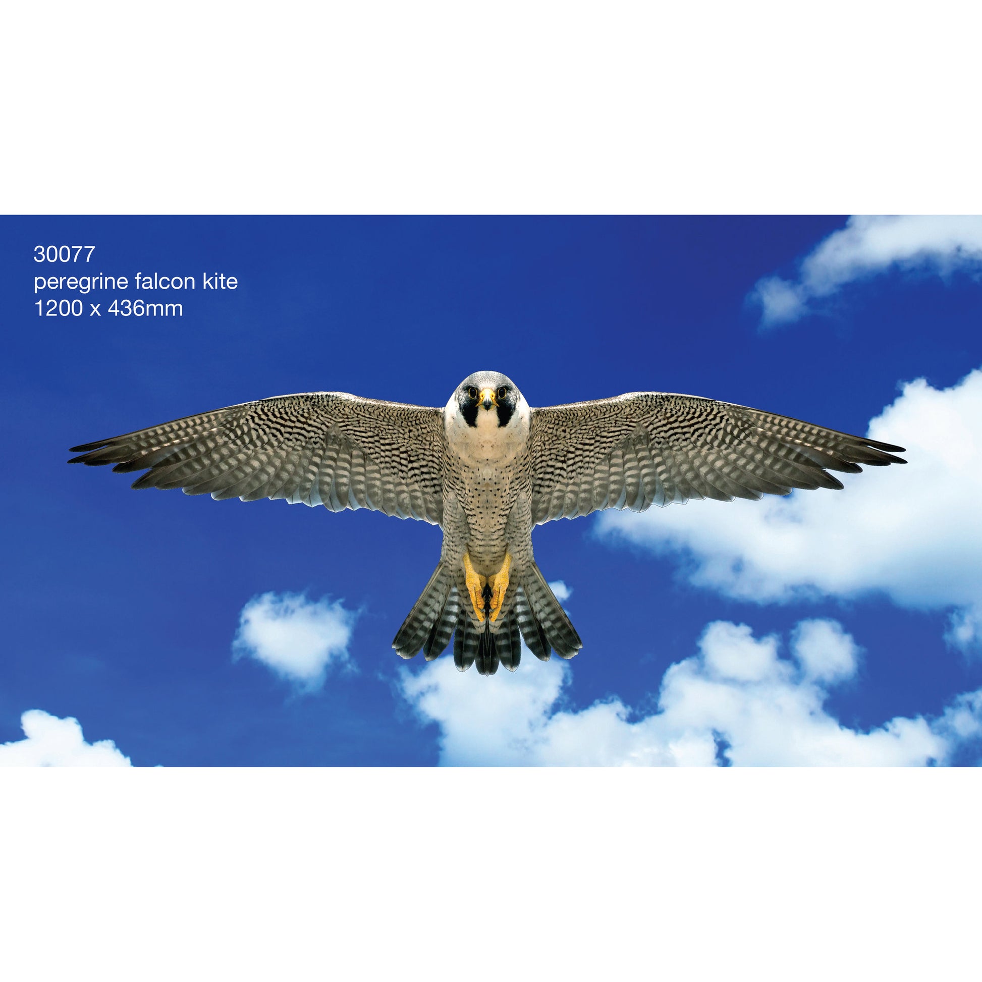 Brookite Peregrin Falcon - Toyworld Australia