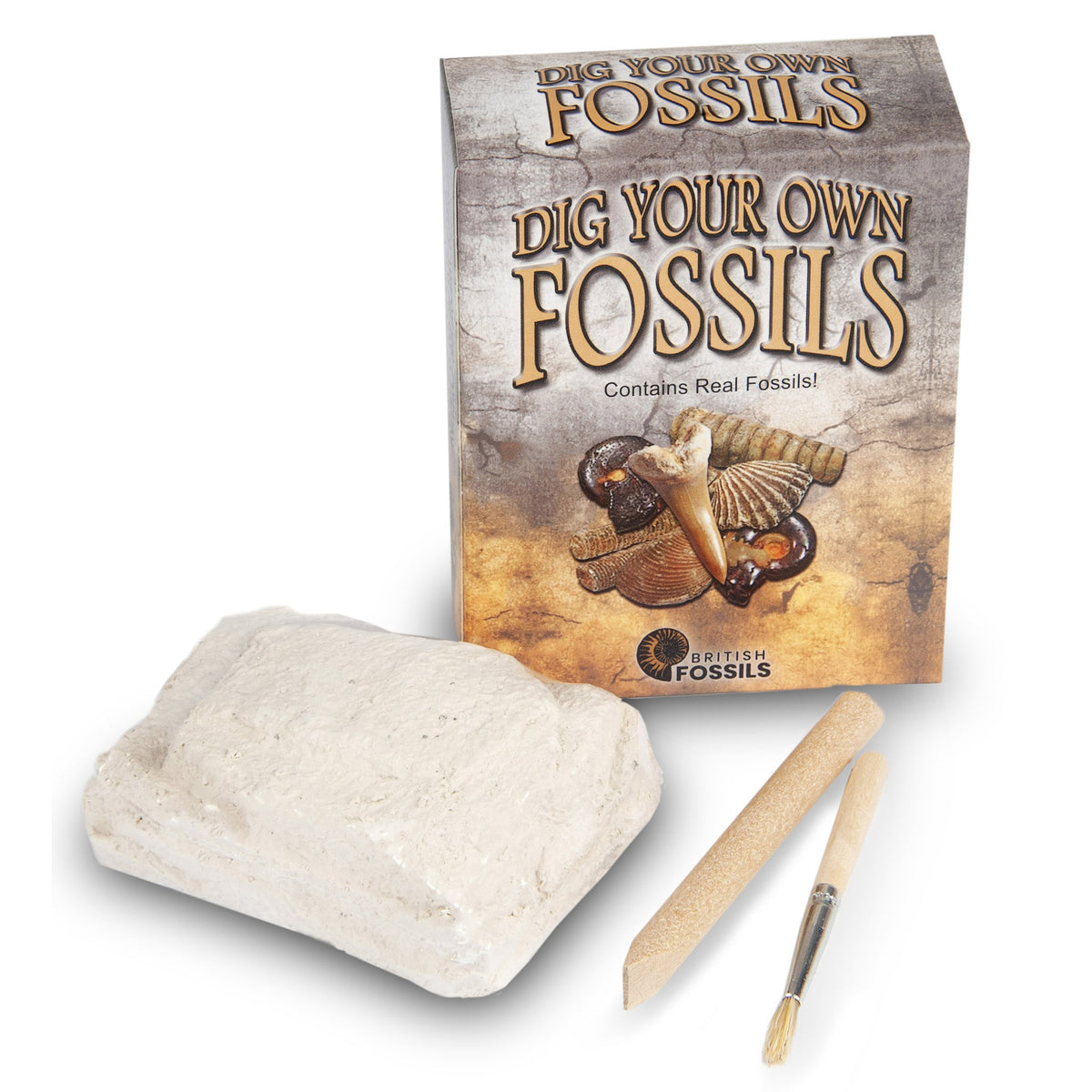 British Fossels Dig Your Own Fossils