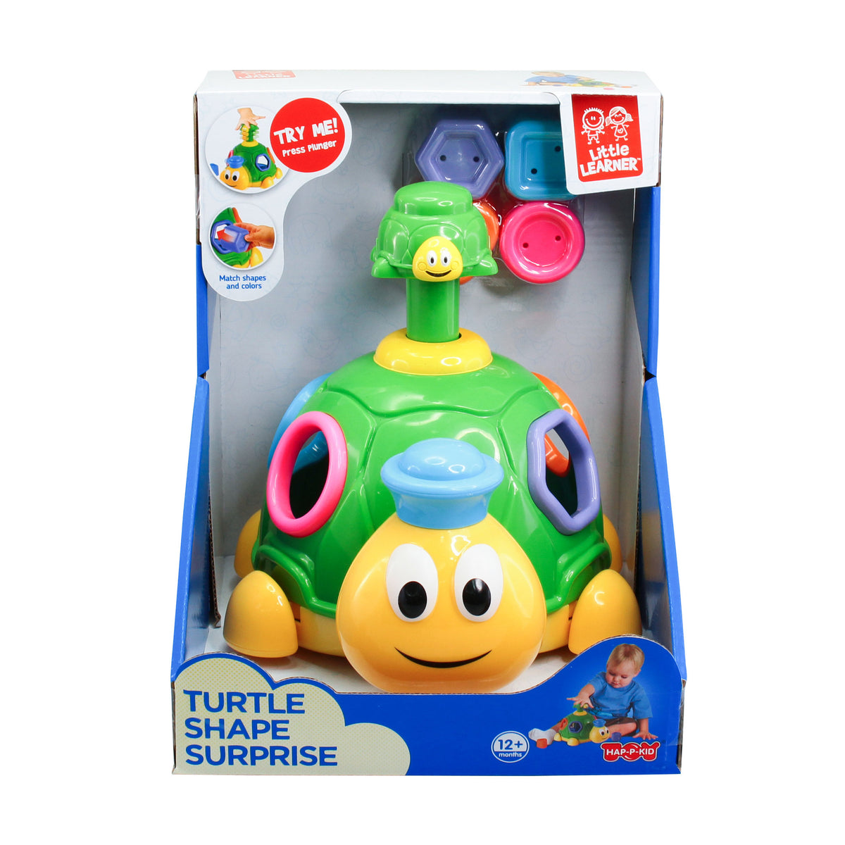 Little Learner Turtle Shape Surprise