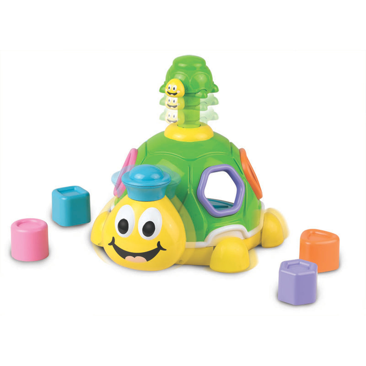 Little Learner Turtle Shape Surprise
