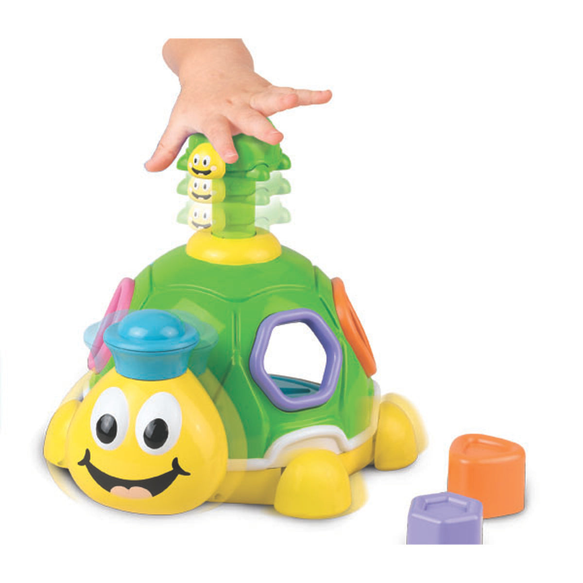 Little Learner Turtle Shape Surprise