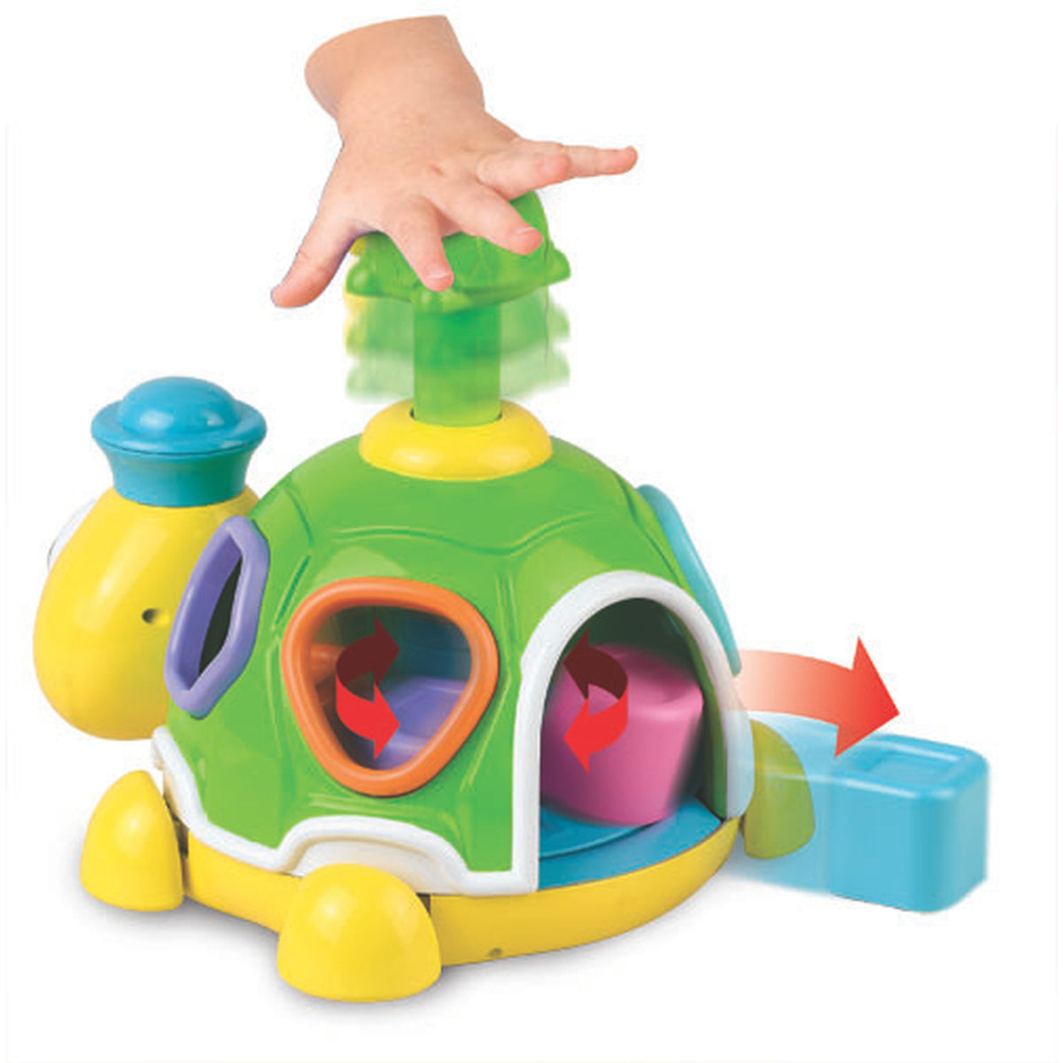 Little Learner Turtle Shape Surprise