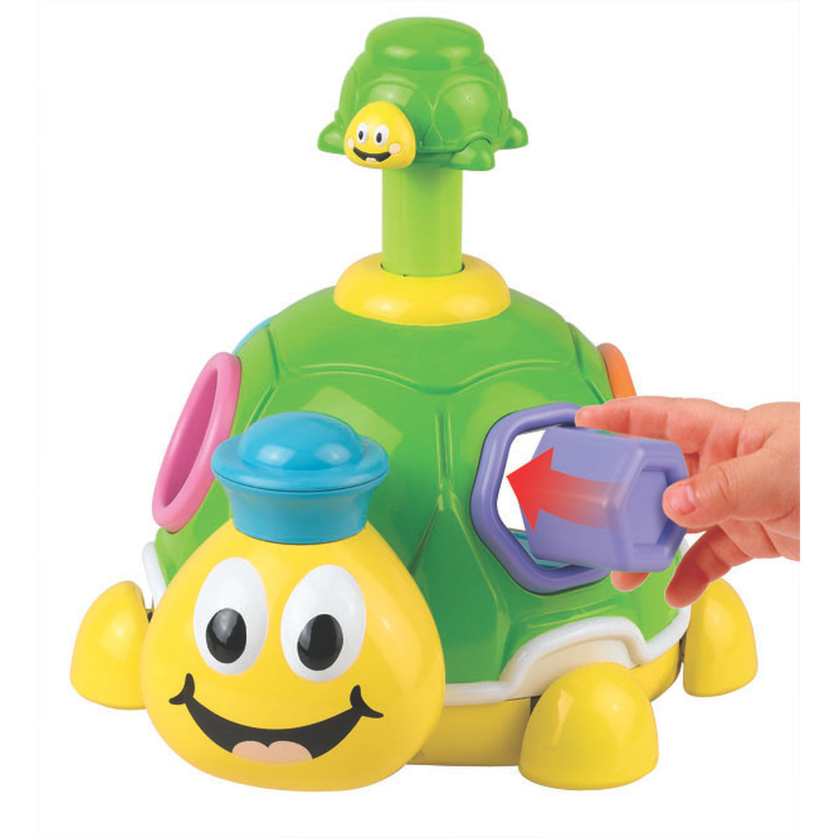 Little Learner Turtle Shape Surprise