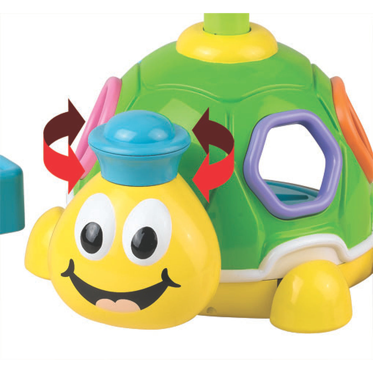 Little Learner Turtle Shape Surprise