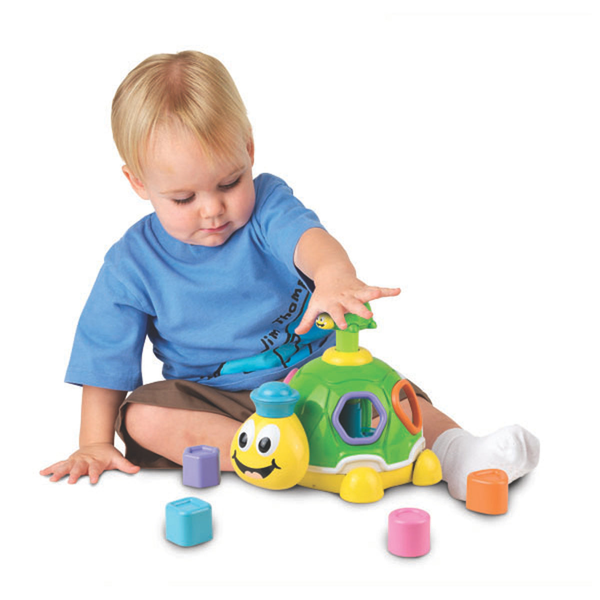 Little Learner Turtle Shape Surprise