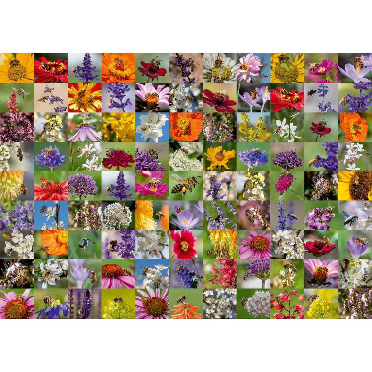 Ravensburger Puzzle 99 Bees 1000 Piece