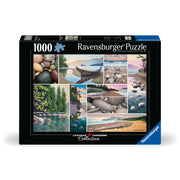 Ravensburger Puzzle West Coast Tranquility 1000 Piece