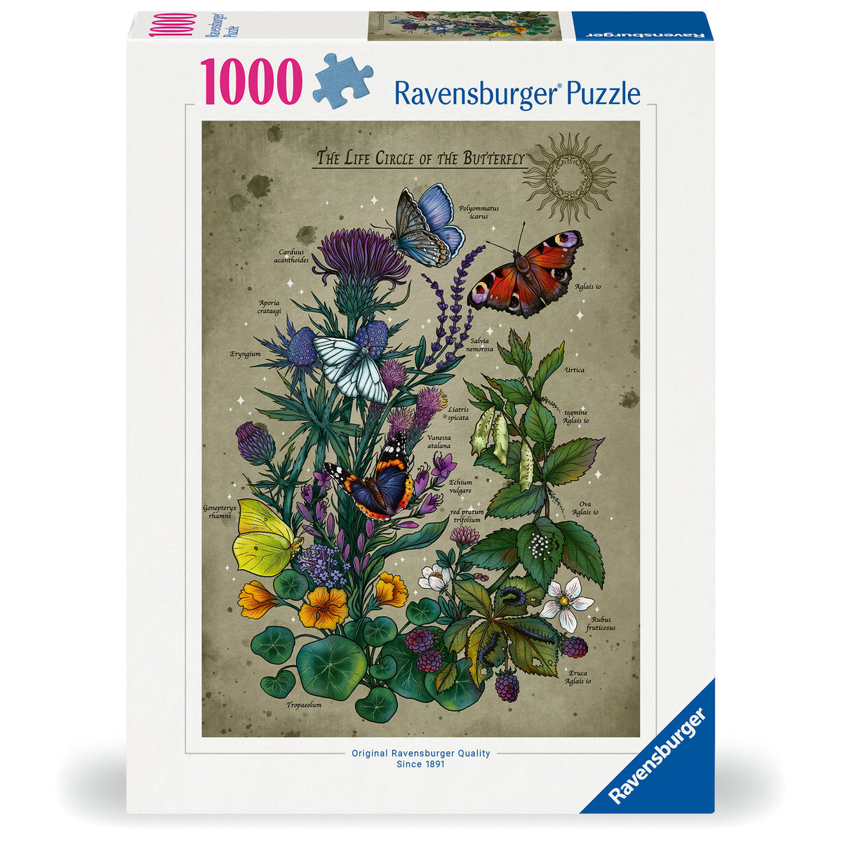 Ravensburger Puzzle Lifecircle Butterfly 1000 Piece