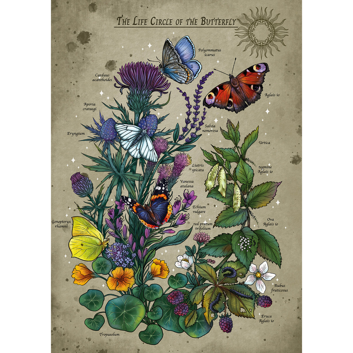 Ravensburger Puzzle Lifecircle Butterfly 1000 Piece