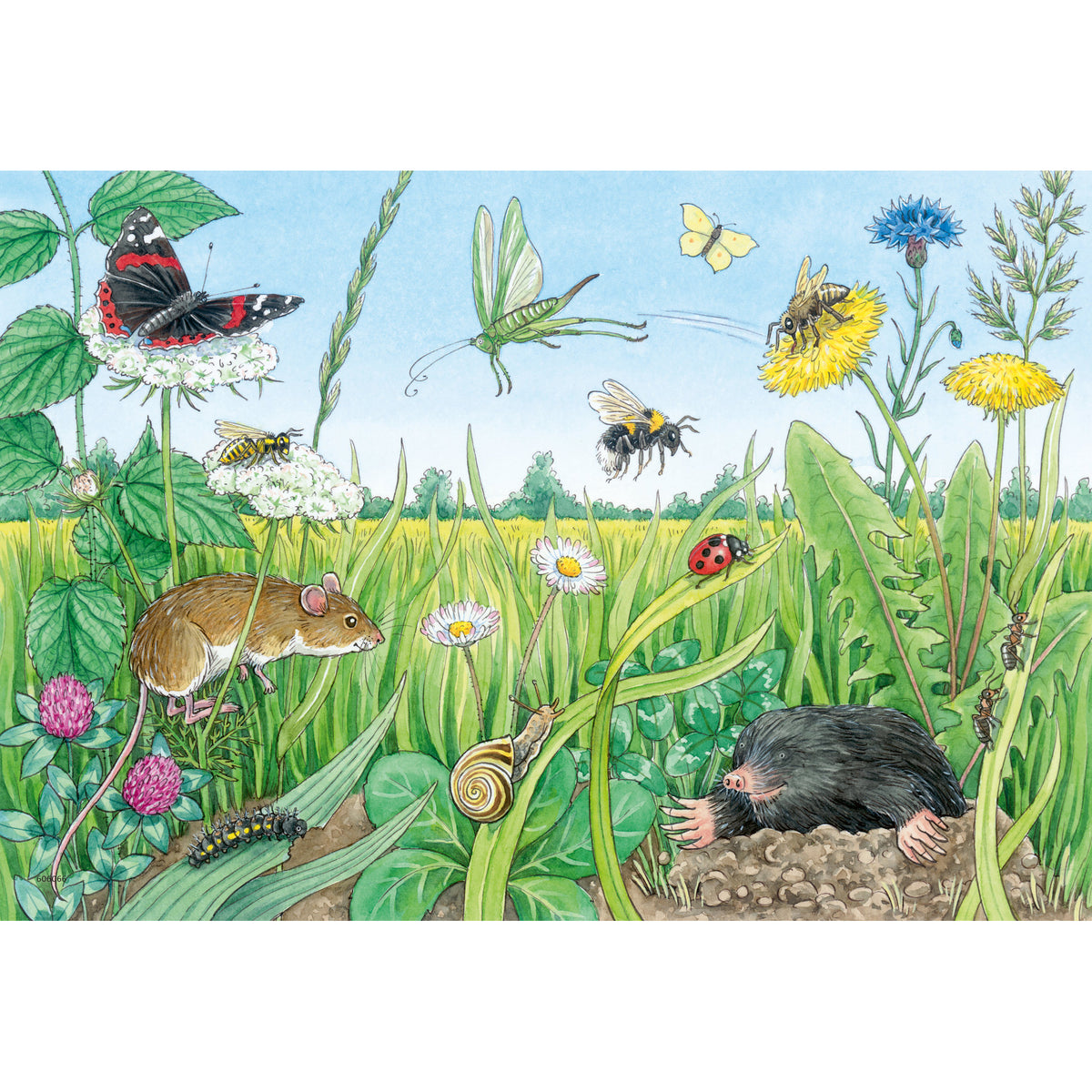 Ravensburger Puzzle Animals In Forest 2 x 12 Piece