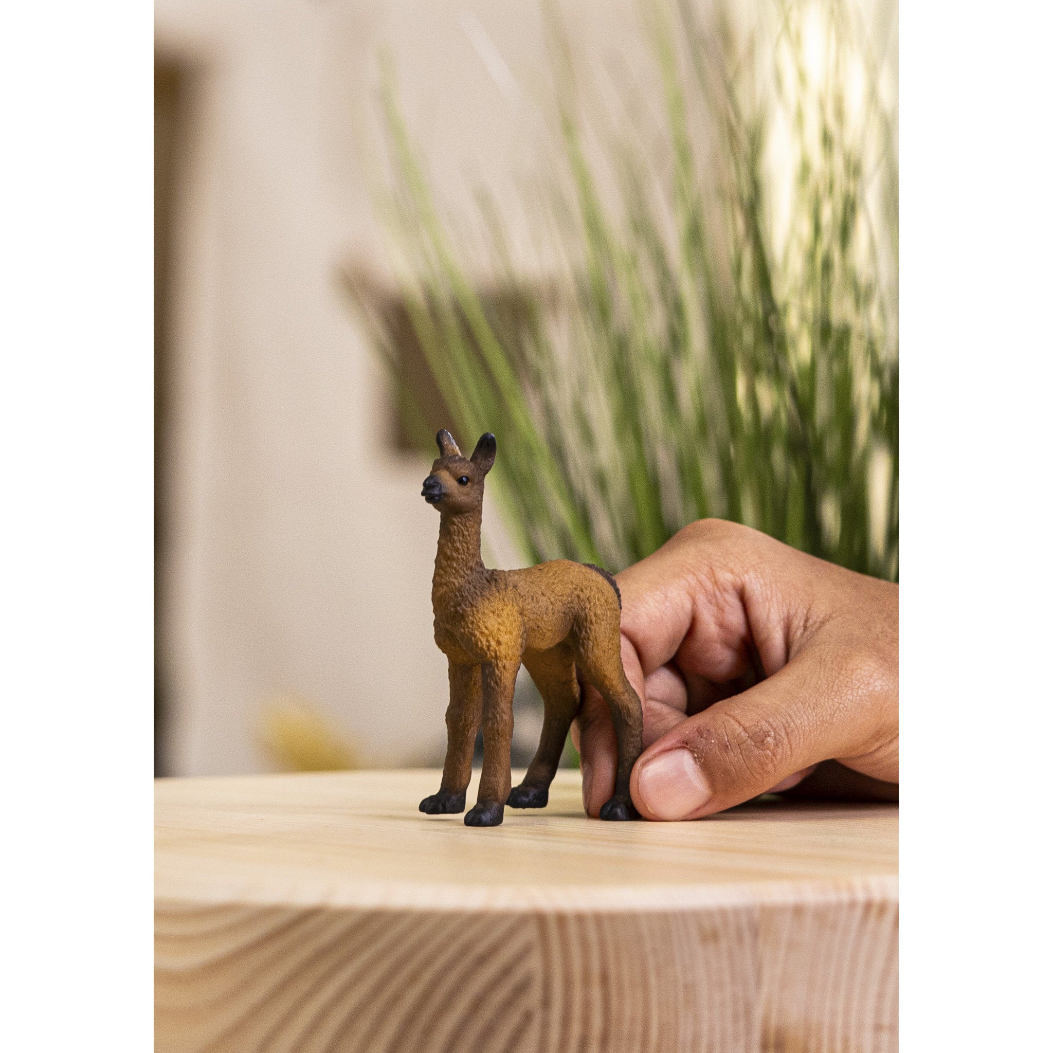 Schleich Llama Foal