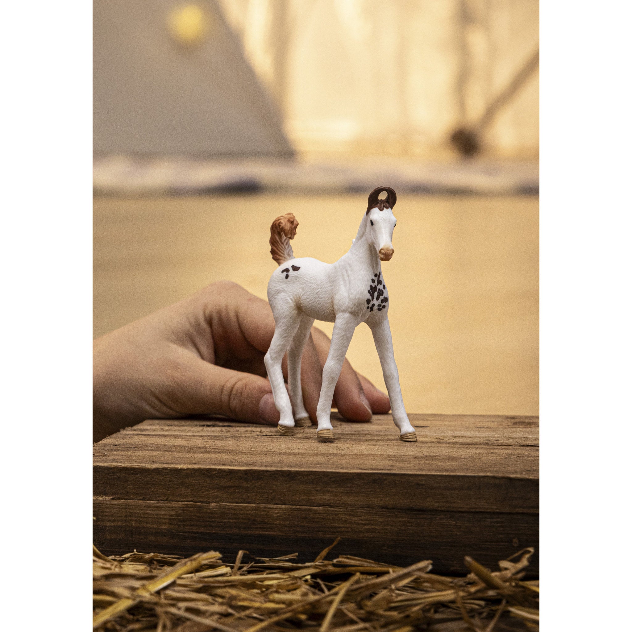 Schleich Marwari Foal