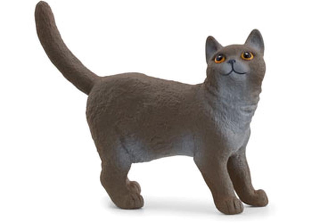 Schleich British Shorthair Cat
