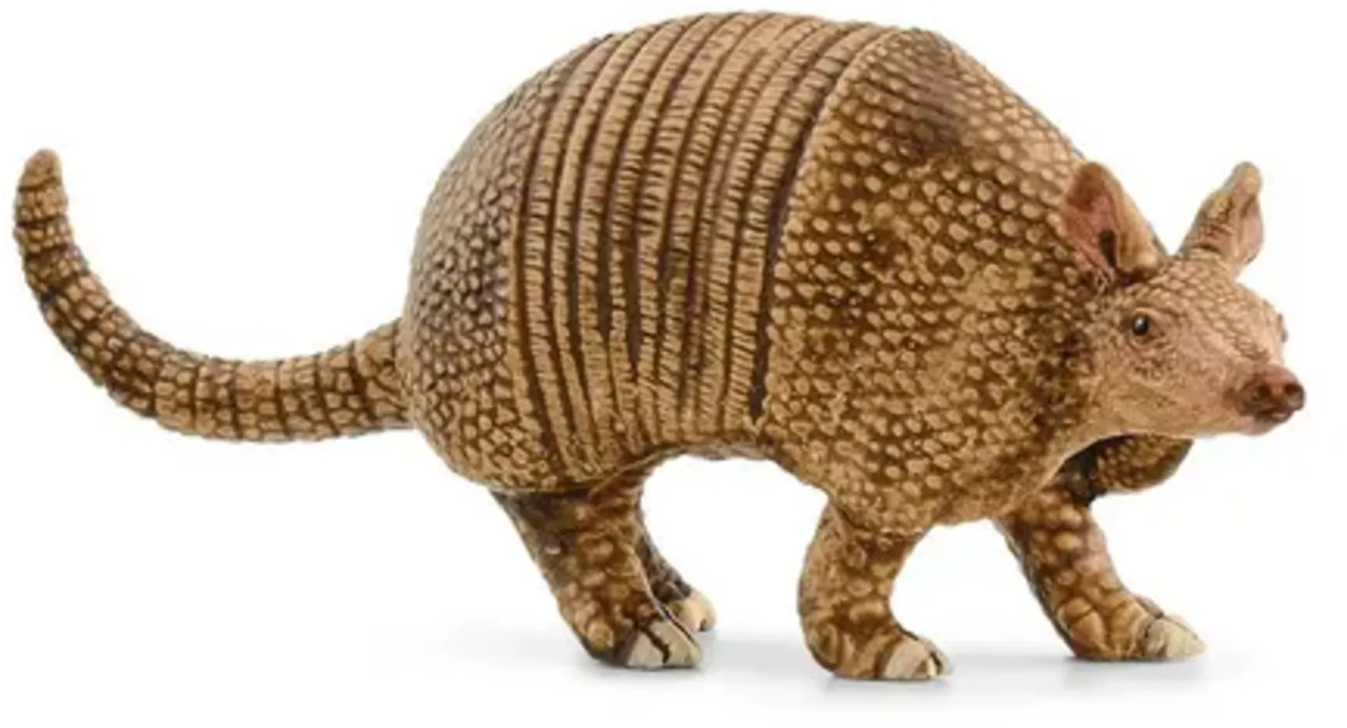 Schleich Armadillo
