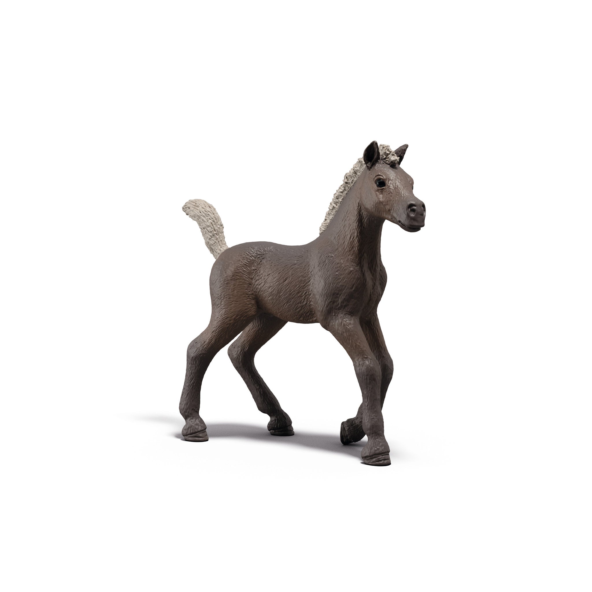Schleich Collectible Foal Darcy