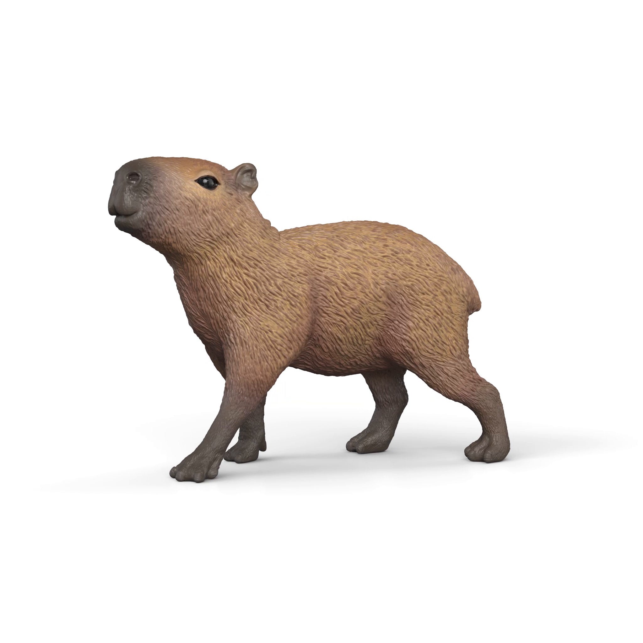 Schleich Capybara