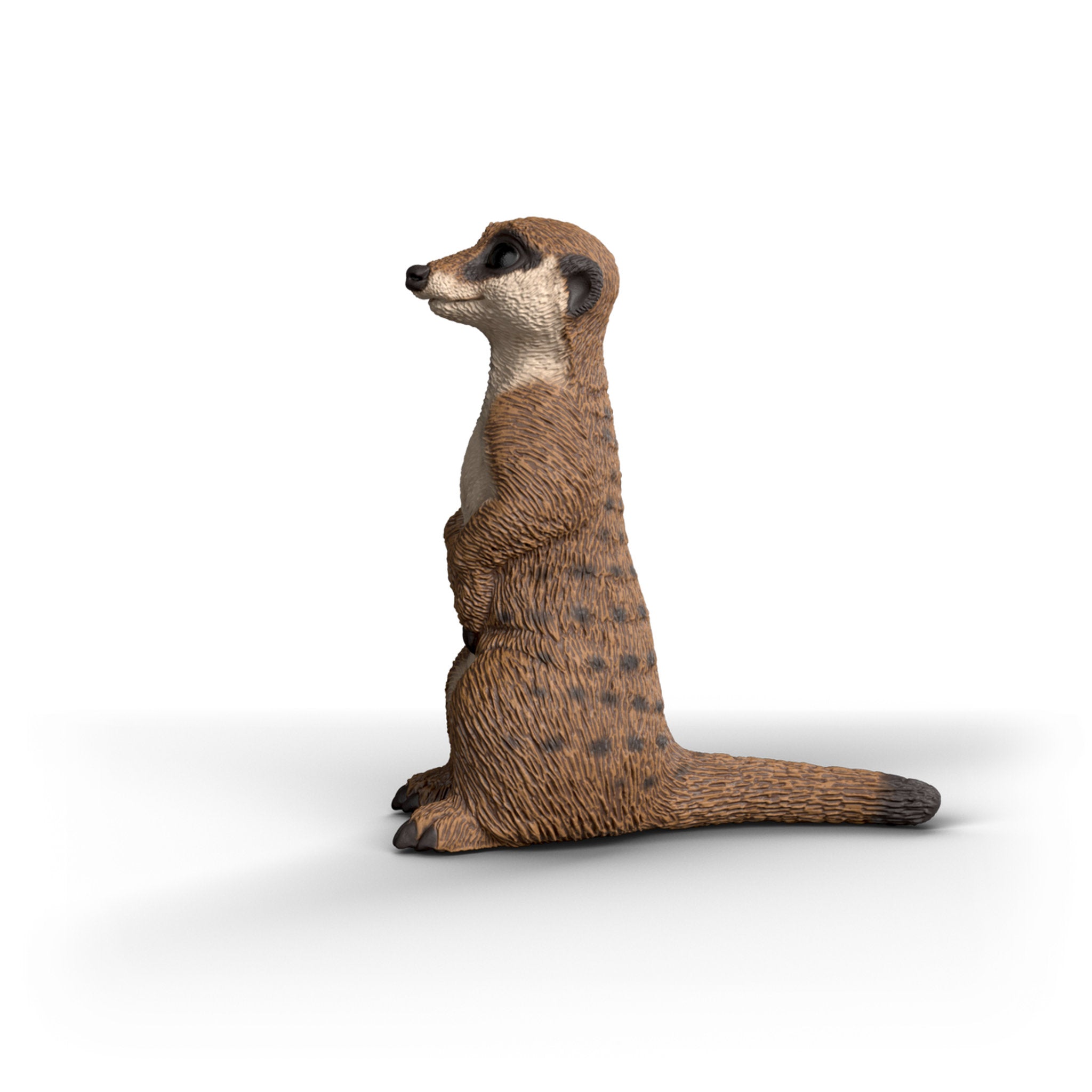 Schleich Meerkat