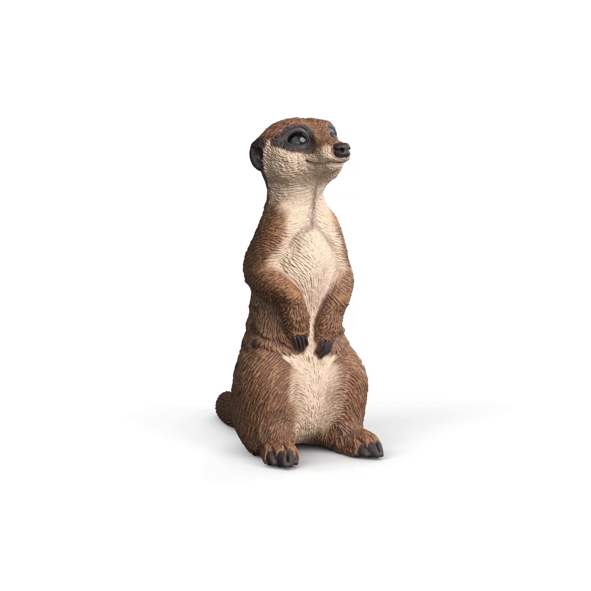 Schleich Meerkat