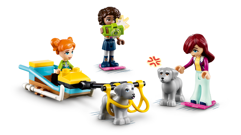 LEGO 41760 Friends Igloo Holiday Adventure