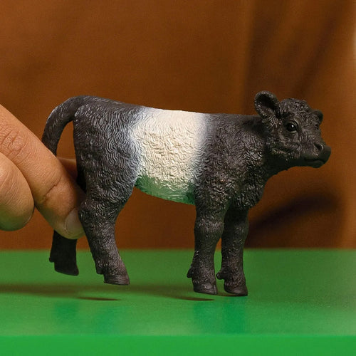 Schleich Galloway Calf - 2