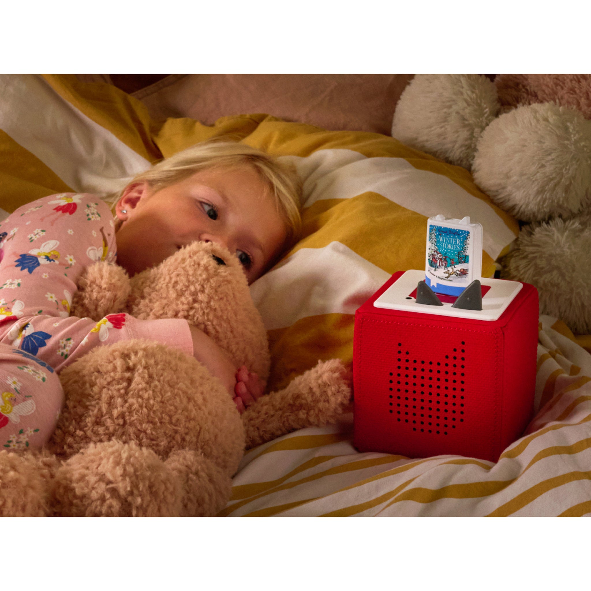 Tonies Book - Enid Bylton Winter Stories