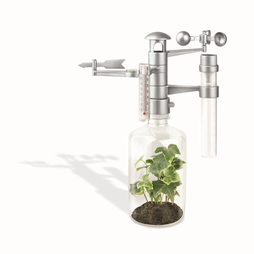 4M Green Science Weather Station - Toyworld Australia