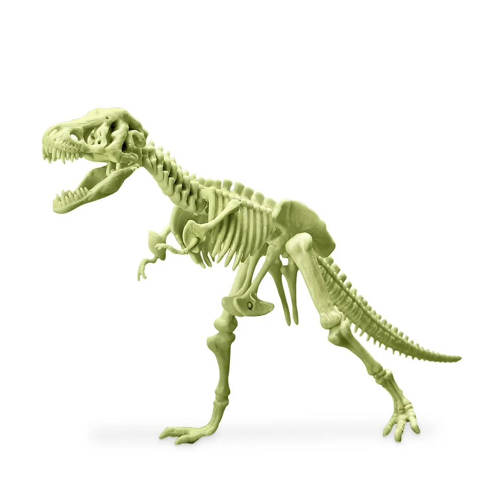 4M KidzLabs - Glowing T-Rex Skeleton
